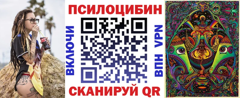 Псилоцибиновые грибы мицелий  Купить  Шенкурск 